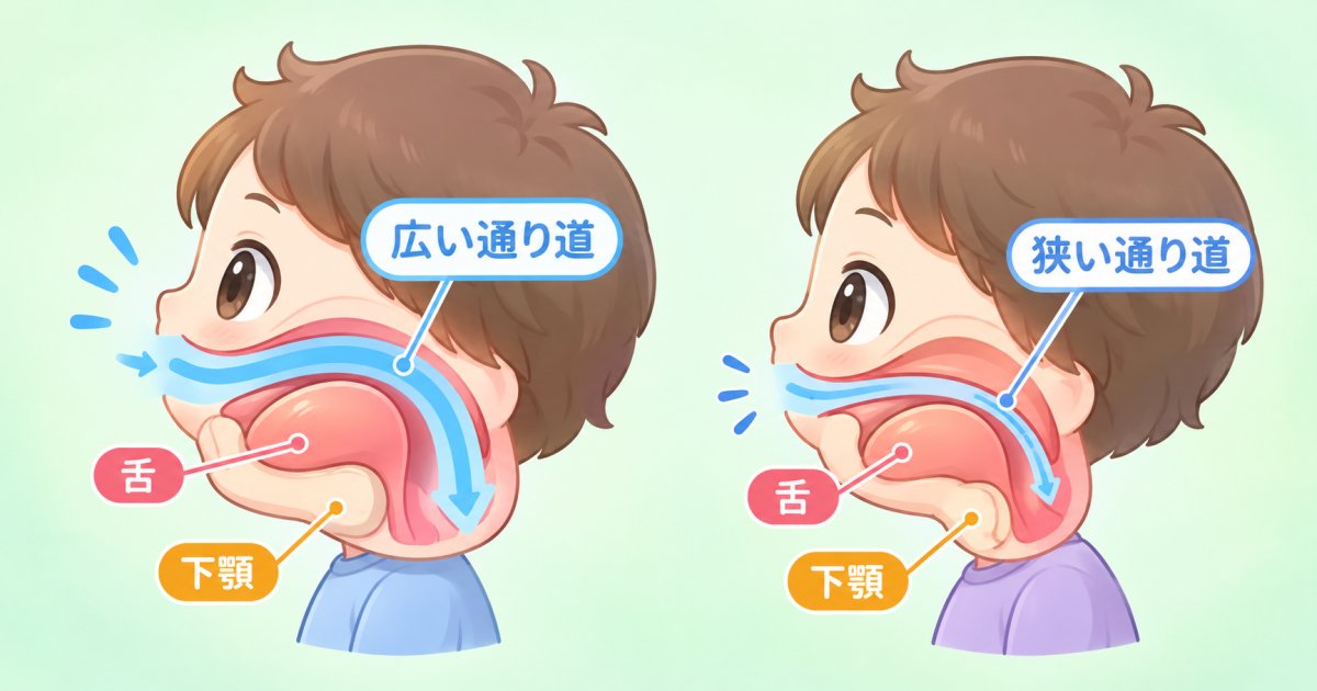 肥満だけではない？歯並びや顎の骨格が睡眠時無呼吸を招くメカニズム